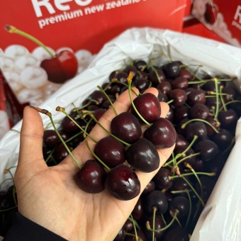 Cherry Red Pear Kodia Newzealand