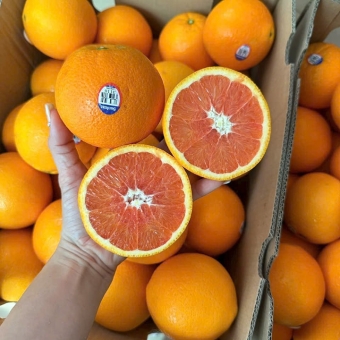 Cam cara ruột đỏ Mỹ 