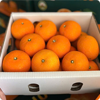 Trái cây nhập | Khay gỗ vuông nắp mica trái cây 10