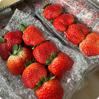 Trái cây nhập | Khay gỗ vuông nắp mica trái cây 7