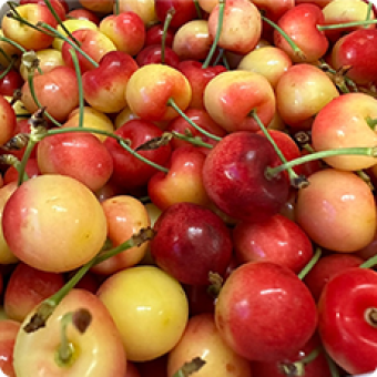 Trái cây nhập | Khay gỗ vuông nắp mica trái cây 8