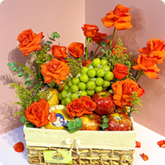 Hộp 80g | Hồng Đẳng Sâm sấy dẻo Mohodo 3