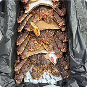 Hải sản tươi sống | Mực, cua, cá, ghẹ tươi sống 6