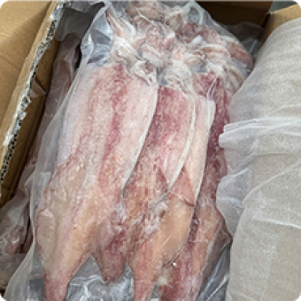 Hải sản tươi sống | Mực, cua, cá, ghẹ tươi sống 9