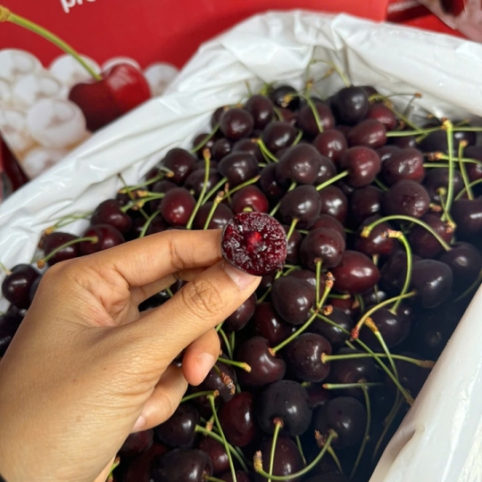 Cherry Red Pear Kodia Newzealand