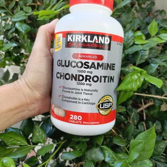 Glucosamine Chondroitin 