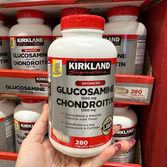 Glucosamine Chondroitin 