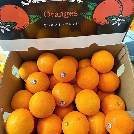 Cam cara ruột đỏ Mỹ 