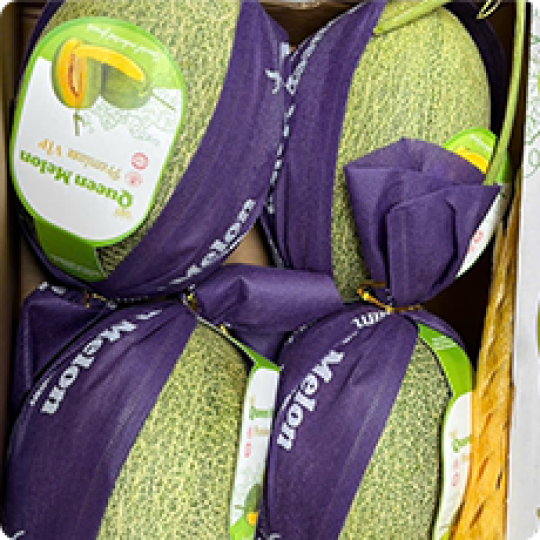 Hộp 80g | Hồng Đẳng Sâm sấy dẻo Mohodo 1