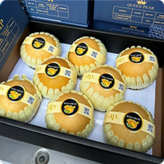 Hộp 80g | Hồng Đẳng Sâm sấy dẻo Mohodo 1