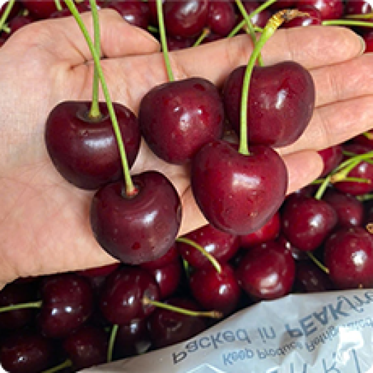 Trái cây nhập | Khay gỗ vuông nắp mica trái cây 9