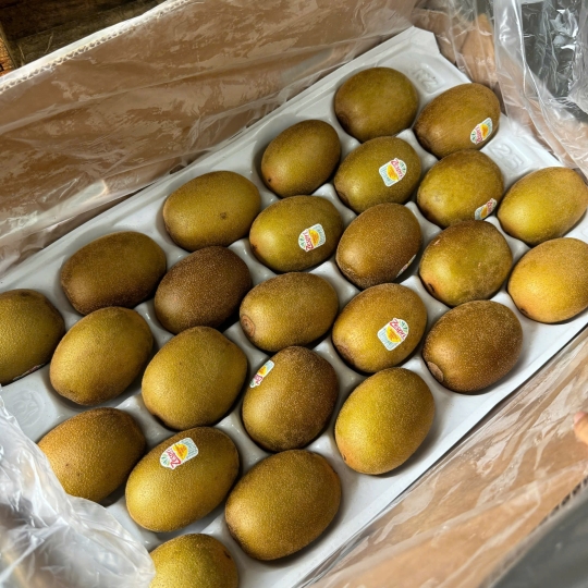 Kiwi Vàng ( Pháp, Newzeland )