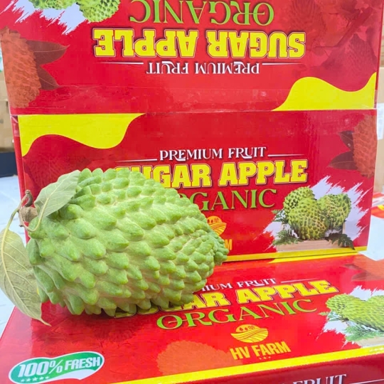 Na Sâu Riêng Hữu Cơ ( Chuẩn Vietgap )