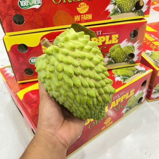 Na Sâu Riêng Hữu Cơ ( Chuẩn Vietgap )