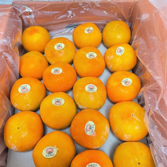 Hồng Giòn Hàn Quốc